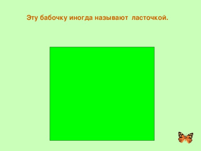 Эту бабочку иногда называют ласточкой. ПОДАЛИРИЙ