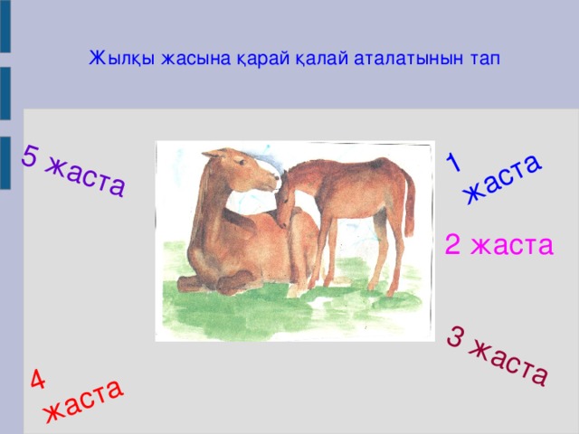 5 жаста 4 жаста 1 жаста 3 жаста Жы лқы жасына қарай қалай аталатынын тап 2 жаста