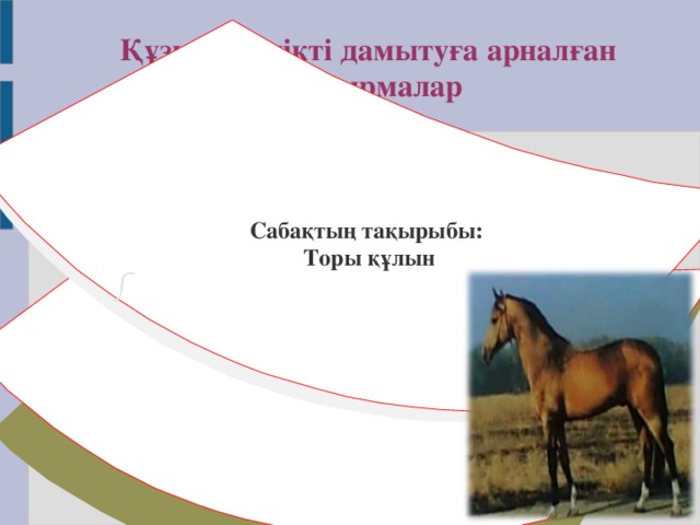 Құзыреттілікті дамытуға арналған тапсырмалар Сабақтың тақырыбы: Торы құлын