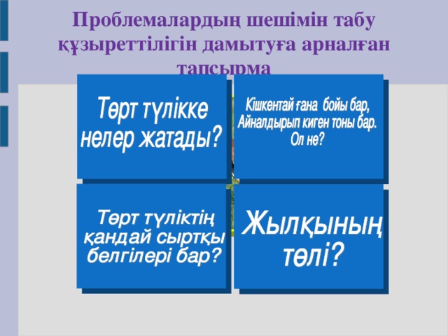 Проблемалардың шешімін табу құзыреттілігін дамытуға арналған тапсырма