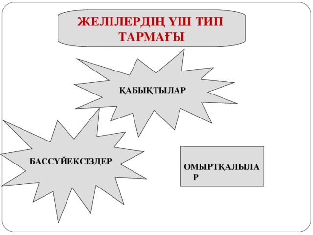 ЖЕЛІЛЕРДІҢ ҮШ ТИП ТАРМАҒЫ ҚАБЫҚТЫЛАР БАССҮЙЕКСІЗДЕР  ОМЫРТҚАЛЫЛАР