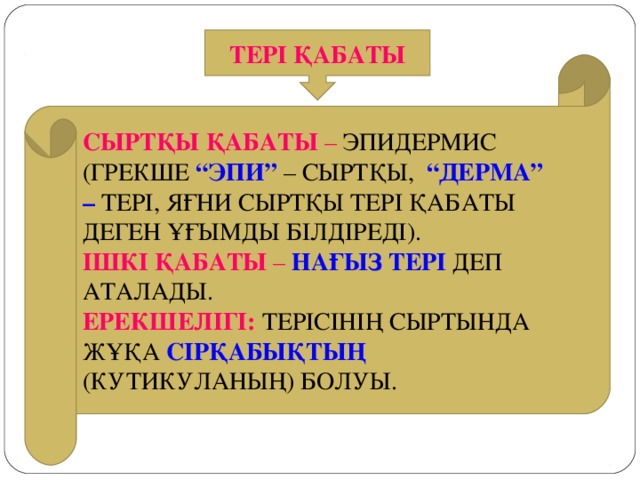 ТЕРІ ҚАБАТЫ СЫРТҚЫ ҚАБАТЫ – ЭПИДЕРМИС (ГРЕКШЕ “ЭПИ” – СЫРТҚЫ, “ДЕРМА” – ТЕРІ, ЯҒНИ СЫРТҚЫ ТЕРІ ҚАБАТЫ ДЕГЕН ҰҒЫМДЫ БІЛДІРЕДІ). ІШКІ ҚАБАТЫ – НАҒЫЗ ТЕРІ ДЕП АТАЛАДЫ. ЕРЕКШЕЛІГІ: ТЕРІСІНІҢ СЫРТЫНДА ЖҰҚА СІРҚАБЫҚТЫҢ (КУТИКУЛАНЫҢ) БОЛУЫ.