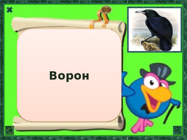 Название птицы, родственное слову «вороной» – чёрный. Ворона Ворон так называли потому, что у него чёрное оперение