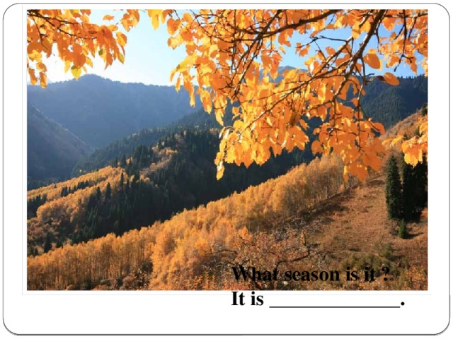 What season is it ? It is _____________.