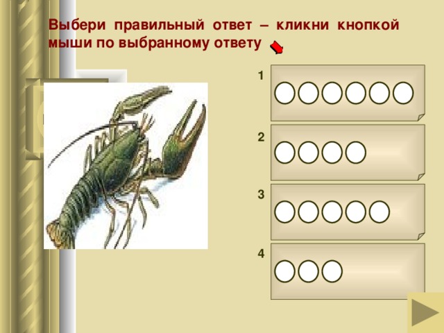Выбери правильный ответ – кликни кнопкой мыши по выбранному ответу 1         2      3       4