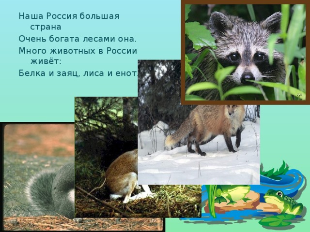 Наша Россия большая страна Очень богата лесами она. Много животных в России живёт: Белка и заяц, лиса и енот.