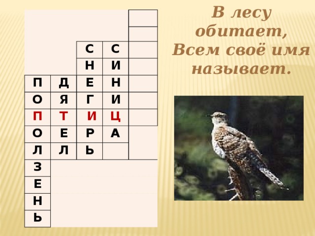 В лесу обитает,  Всем своё имя называет. П С О Д С Н П Я Е И Т Н Г О Л И  И Е З Л Ц Р   Е А Ь   Н   Ь  