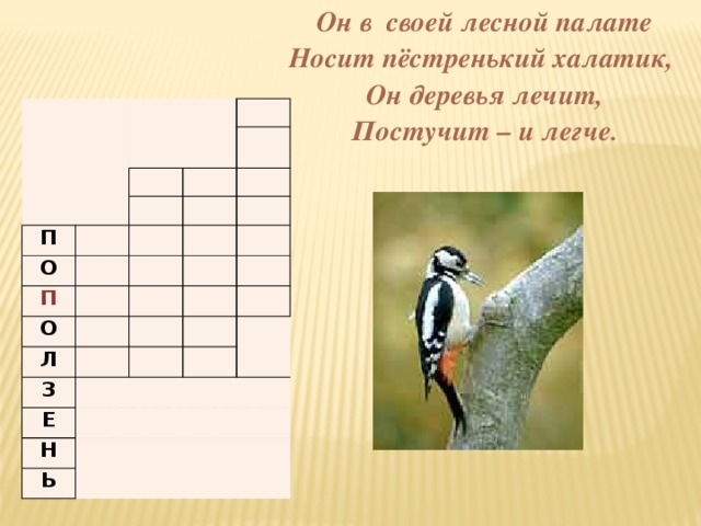 Он в своей лесной палате  Носит пёстренький халатик,  Он деревья лечит,  Постучит – и легче . П О П О Л З   Е   Н   Ь  