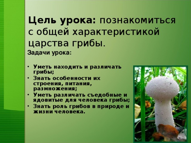 Цель урока: познакомиться с общей характеристикой царства грибы. Задачи урока:
