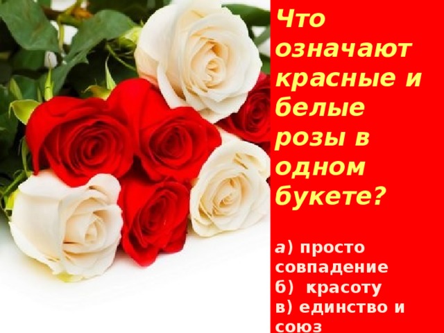 Что означают красные и белые розы в одном букете?   а ) просто совпадение  б) красоту  в) единство и союз  г) ты и я одной крови.