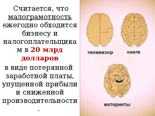 Считается, что малограмотность ежегодно обходится бизнесу и налогоплательщикам в 20 млрд долларов  в виде потерянной заработной платы, упущенной прибыли и сниженной производительности.