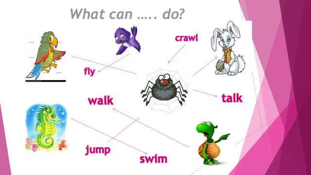 Flies can t swim. Animals урок английского 3 класс. Урок английского языка 2 класс can. Can cant животные. Задания на can can't.