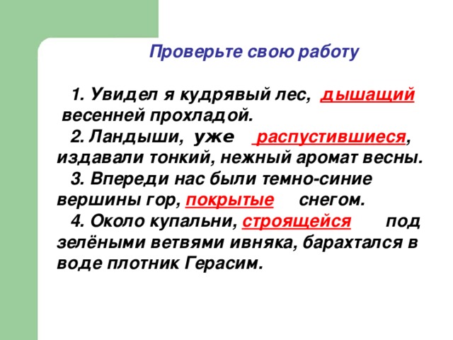 Проверьте свою работу  1. Увидел я кудрявый лес, дышащий  весенней прохладой. 2. Ландыши, уже   распустившиеся , издавали тонкий, нежный аромат весны. 3. Впереди нас были темно-синие вершины гор, покрытые  снегом. 4. Около купальни, строящейся  под зелёными ветвями ивняка, барахтался в воде плотник Герасим.