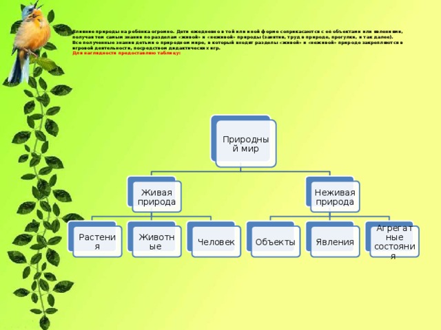 Влияние природы на ребёнка огромно. Дети ежедневно в той или иной форме соприкасаются с её объектами или явлениями, получая тем самым знания по разделам «живой» и «неживой» природы (занятия, труд в природе, прогулки, и так далее).  Все полученные знания детьми о природном мире, в который входят разделы «живой» и «неживой» природе закрепляются в игровой деятельности, посредством дидактических игр.  Для наглядности предоставляю таблицу:   Природный мир Живая природа Неживая природа Человек Животные Объекты Явления Растения Агрегатные состояния