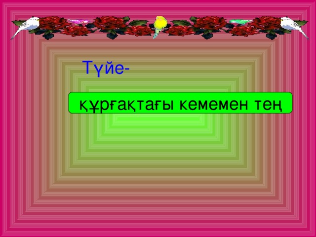 Түйе-  Түйе-  Түйе-  Түйе-  Түйе-  құрғақтағы кемемен тең