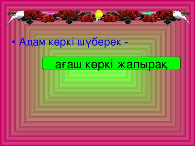 Адам көркі шүберек -