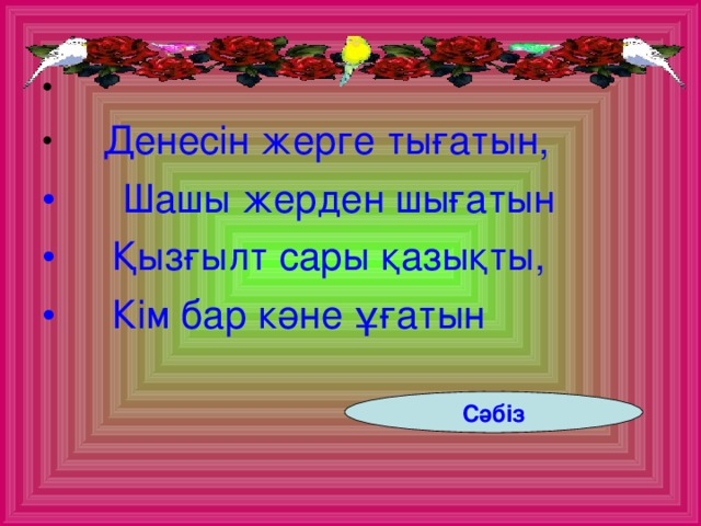 Денесін жерге тығатын,  Шашы жерден шығатын  Қызғылт сары қазықты,  Кім бар кәне ұғатын