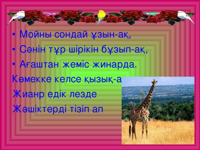 Мойны сондай ұзын-ақ, Сәнін тұр шірікін бұзып-ақ, Ағаштан жеміс жинарда.