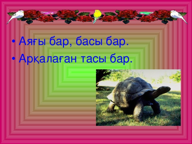 Аяғы бар, басы бар. Арқалаған тасы бар.