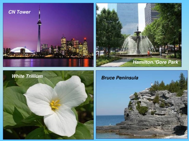 CN Tower Hamilton. Gore Park White Trillium Bruce Peninsula