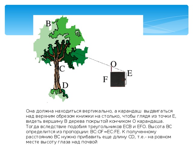 Находиться в вертикальном положении