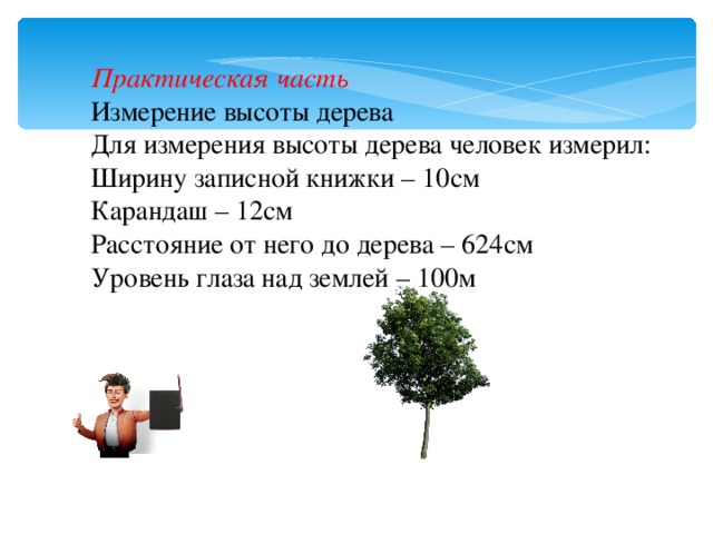 Практическая часть Измерение высоты дерева Для измерения высоты дерева человек измерил: Ширину записной книжки – 10см Карандаш – 12см Расстояние от него до дерева – 624см Уровень глаза над землей – 100м