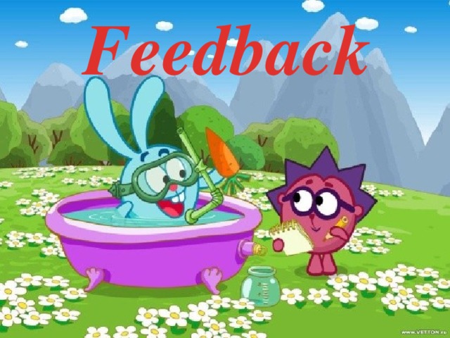 Feedback