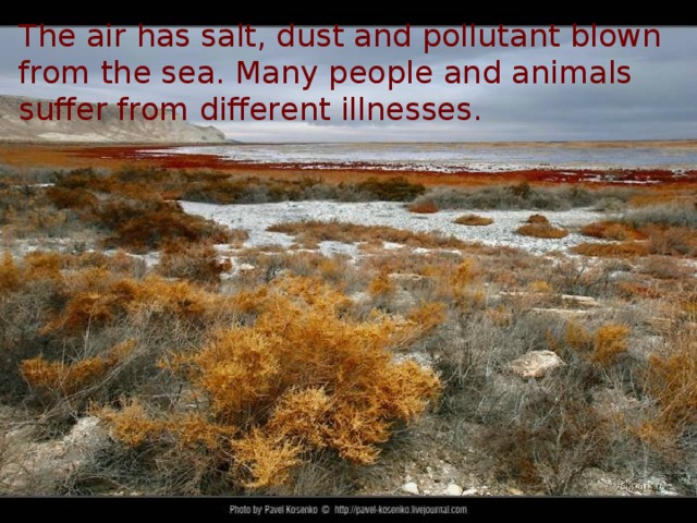 The air has salt, dust and pollutant blown from the sea. Many people and animals suffer from different illnesses.