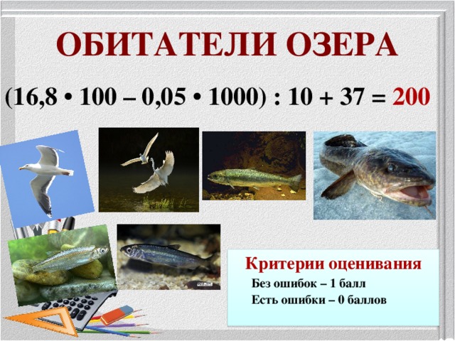 ОБИТАТЕЛИ ОЗЕРА (16,8 • 100 – 0,05 • 1000) : 10 + 37 = 200 Критерии оценивания  Без ошибок – 1 балл  Есть ошибки – 0 баллов