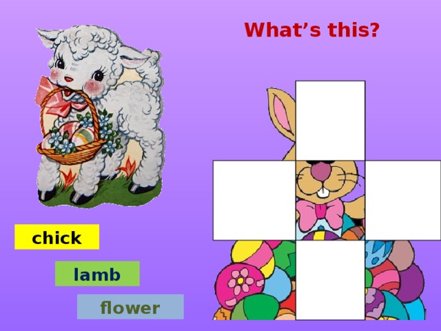 What’s this? chick lamb flower