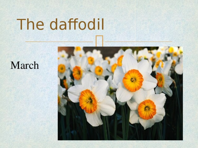 The daffodil March
