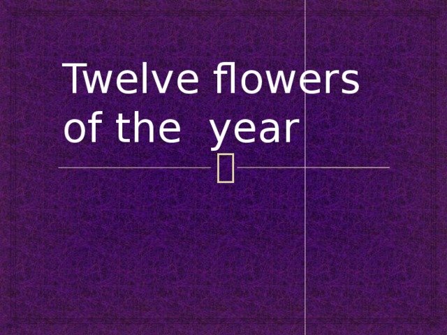 Twelve flowers of the year