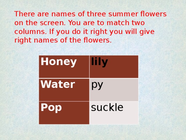 There are names of three summer flowers on the screen. You are to match two columns. If you do it right you will give right names of the flowers. Honey lily Water py Pop suckle