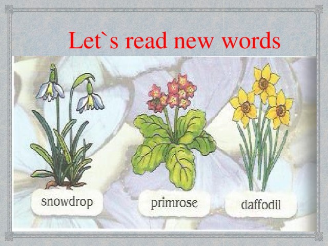 Let`s read new words