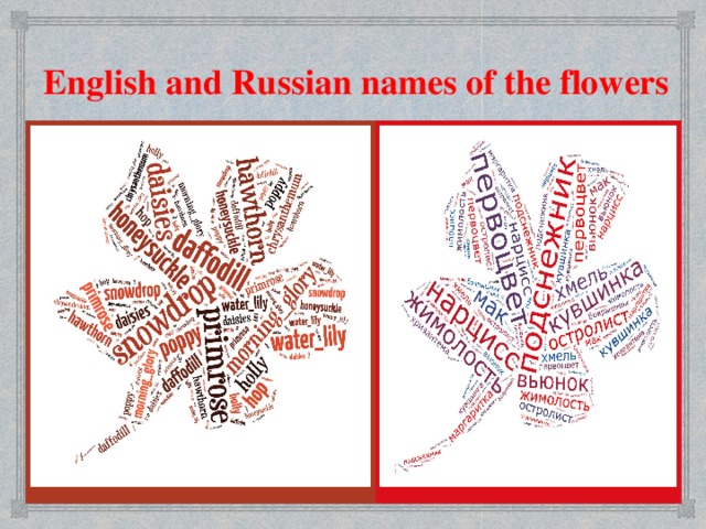 English and Russian names of the flowers English and Russian names of the flowers