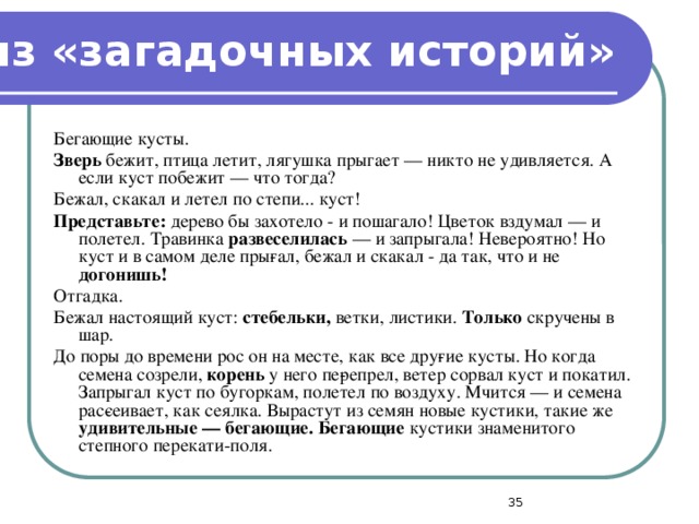 из «загадочных историй» Бегающие кусты. Зверь бежит, птица летит, лягушка прыгает — никто не удивляется. А если куст побежит — что тогда? Бежал, скакал и летел по степи... куст! Представьте: дерево бы захотело - и пошагало! Цветок вздумал — и полетел. Травинка развеселилась — и запрыгала! Невероятно! Но куст и в самом деле пры­гал, бежал и скакал - да так, что и не догонишь! Отгадка. Бежал настоящий куст: стебельки, ветки, листики. Только скручены в шар. До поры до времени рос он на месте, как все дру­гие кусты. Но когда семена созрели, корень у него пе­репрел, ветер сорвал куст и покатил. Запрыгал куст по бугоркам, полетел по воздуху. Мчится — и семена рас­сеивает, как сеялка. Вырастут из семян новые кустики, такие же удивительные — бегающие. Бегающие кустики знаменитого степного перекати-поля.  