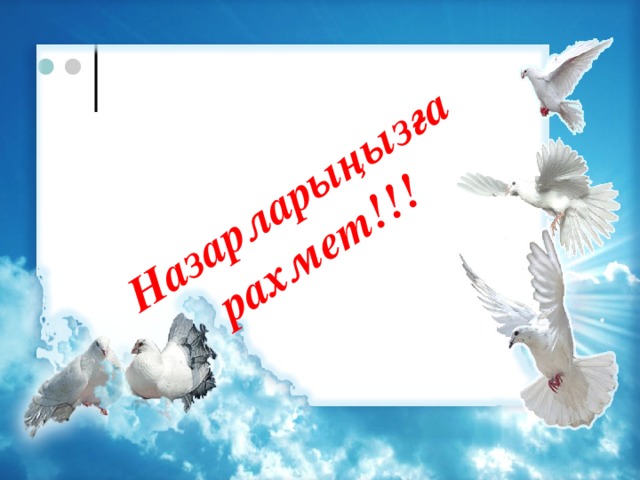 Назарларыңызға рахмет!!!