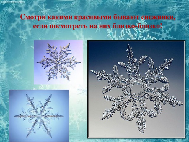 Смотри какими красивыми бывают снежинки, если посмотреть на них близко-близко!