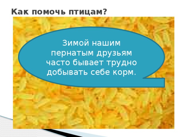 Как помочь птицам? Зимой нашим пернатым друзьям часто бывает трудно добывать себе корм.