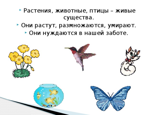 Растения, животные, птицы – живые существа. Они растут, размножаются, умирают. Они нуждаются в нашей заботе.