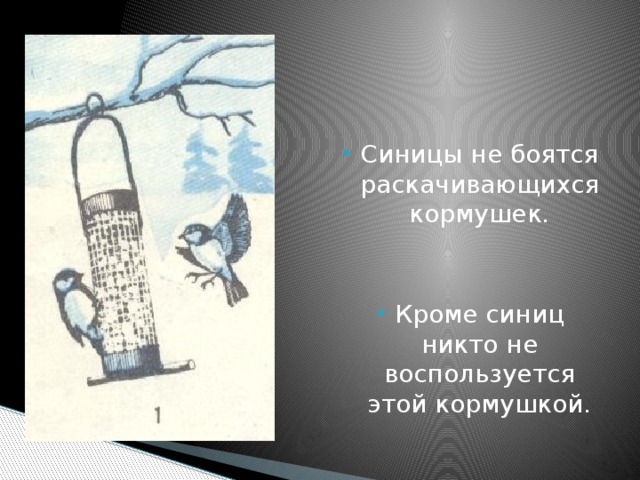 Синицы не боятся раскачивающихся кормушек. Кроме синиц никто не воспользуется этой кормушкой.