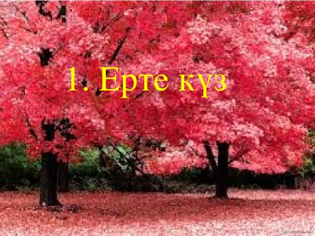 1. Ерте күз