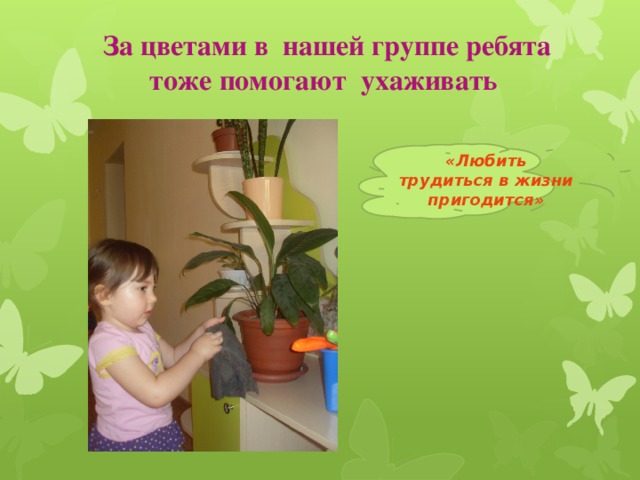 За цветами в нашей группе ребята тоже помогают ухаживать «Любить трудиться в жизни пригодится»