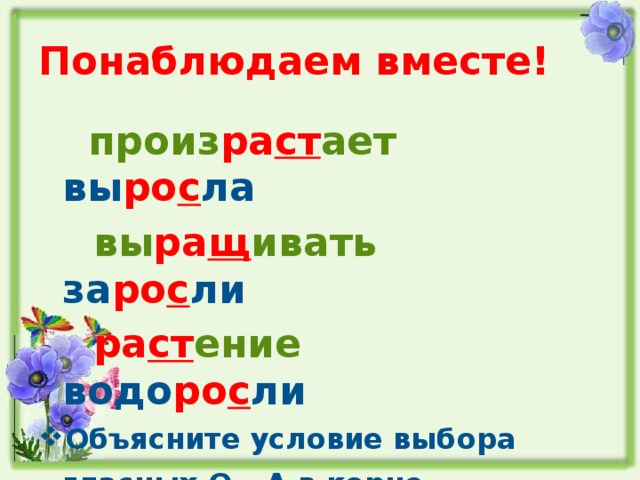 Понаблюдаем вместе!  произ ра ст ает вы ро с ла  вы ра щ ивать за ро с ли  ра ст ение водо ро с ли