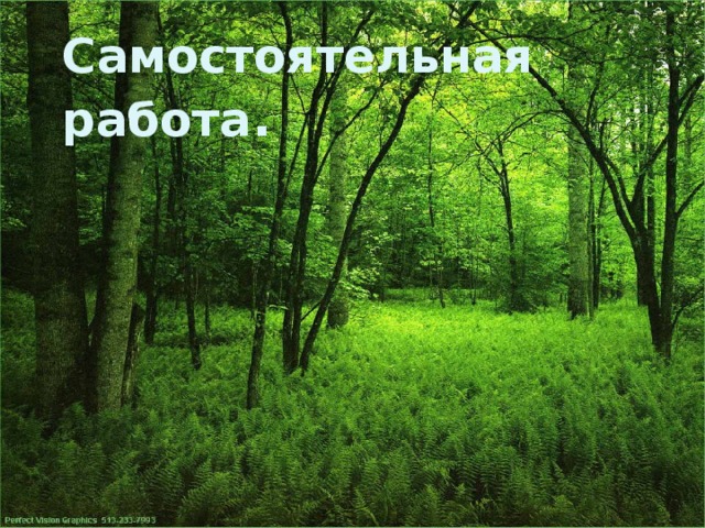 Самостоятельная  работа .