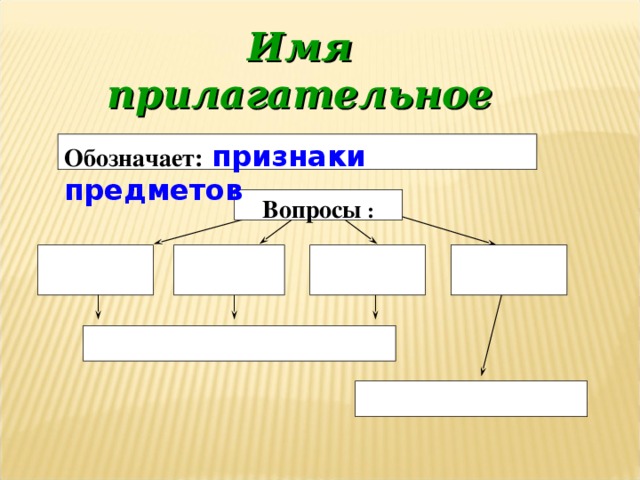 Имя  прилагательное Обозначает:  признаки предметов Вопросы :