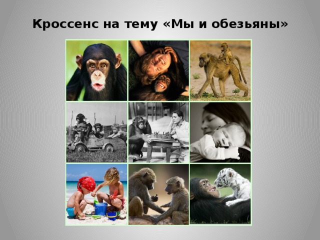 На уроке биологии дети отметили на диаграмме длину насекомых в миллиметрах