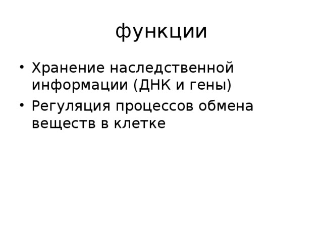 функции Хранение наследственной информации (ДНК и гены) Регуляция процессов обмена веществ в клетке