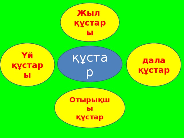 Жыл құ стары Үй құстары дала құстар құстар Отырықшы құстар