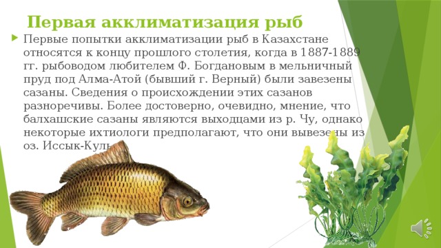 Первая акклиматизация рыб